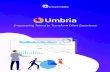 Umbria Brochure OnlineForm - Homepage - Prosperoware€¦ · Every law firm plans their matters differently, and Umbria allows unparalleled planning flexibility. Firms can leverage