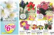 tops.graphics.grocerywebsite.comtops.graphics.grocerywebsite.com/...E_EASTER_FLORAL... · Easter Holiday, Fragrant and Colorful! Dozen Long Stem Rose Bouquet Gift Raly! Choose fmm