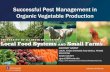 Successful Pest Management in Organic Vegetable Production › hla › fruitveg › ... · Integrated Management. Low to No Chemical Inputs, Sustainable, or Organic • Pest Control