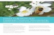 Insect Pollinators and Pesticide Product Stewardship · protecting insect pollinators on farms and in urban landscapes syng_4098_2_1_Insect_Pollinator_Brochure_Updates_mech2.indd