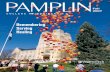 Pamplin Fall 2007 - Pamplin Magazine · Designers:EileenBaumann,ValerieBurghardt Photographers:RickGriffiths,Michael Kiernan,JohnMcCormick,JoshArmstrong ... outsourcing of basic programming