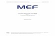 Carrier Ethernet and SDN - MEF€¦ · In the first of this two part paper entitled “Carrier Ethernet and SDN Part 1: An Industry Perspective,” the benefits of SDN for Carrier