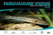Action PlAn for South AuStrAliAn Freshwater Fishes...extinction or conservation status for South Australian freshwater fishes. the overall picture is alarming, with over half of the