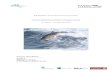 2009 AFBI Autumn Herring Acoustic Survey - iwdg.ie · land-based sightings and surveys (Berrow et al. 2001). The Group has conducted cetacean surveys on board commercial ferries since