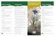 STEM DESIGN CHALLENGE RESEARCH GUIDE CARING FOR …€¦ · STEM DESIGN CHALLENGE RESEARCH GUIDE CARING FOR ANIMALS STEM DESIGN CHALLENGE 1.Keepers need a variety of enrichment ideas