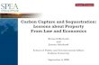 Carbon Capture and Sequestration: Lessons about Property ... · PDF file Carbon Capture and Sequestration: Lessons about Property From Law and Economics ... Application to Carbon Capture
