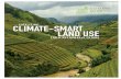 CATALYZING CLIMATE-SMART LAND USE · 2016-05-19 · CATALYZING CLIMATE-SMART LAND USE 1 BACKGROUND Countries agreed in Paris to a new long-term climate change goal: to achieve a balance