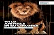 WILD ANIMALS IN EU CIRCUSES...Wild animals are unpredictable and can be very dangerous to people. The temporary nature of traveling circuses and the close proximity of dangerous animals