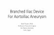 Branched Iliac Device For Aortoiliac Aneurysm › livemedia › documents › al... · •In case of aorto-iliac aneurysms: Bridging stent between abdominal main body and branched
