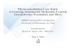 Phytoremediation Case Study - A Growing Solution …Phytoremediation Case Study A Growing Solution for Hydraulic Control, Groundwater Treatment and More MGWA Spring 2004 Conference