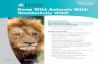 Keep Wild Animals Wild: Wonderfully Wild!...Ages 5–7 Animal Action Education Keep Wild Animals Wild: Lesson Plans 3 Preview/View the Video 1.of Tell students that they will be watching