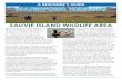 A BEGINNER’S GUIDE WATERFOWL HUNTING · 2016-09-08 · this guide revolves around duck hunting, since that is by far the most extensive hunting opportunity on the wildlife area.