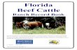 Florida Beef Cattle - sfyl.ifas.ufl.edu...Florida Beef Cattle Ranch Record Book This Record Book was developed by Doug Mayo, Jackson County Extension to enhance beef cattle ranch management,