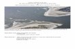 Home | Stockton University - FINAL REPORT FOR 2016 ON THE … · 2018-07-18 · under the Shore Protection Project contract with Great Lakes Dredge and Dock, Inc. Once the ACOE assumes