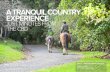OVERVIEW - AucklandDesignManualcontent.aucklanddesignmanual.co.nz/resources/case... · Totara Park is a 216 hectare gem offering adventure play, walks and bridle trails, riding for
