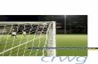 July 2018 crwg · crwg July 2018 Report of the Congress Review Working Group Australia for FIFA and the AFC
