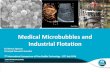 Medical Microbubbles and Industrial Flotation · •Bubble Column Reactors – columns for mixing or reaction of bubbles of ... (21 -22 January 2016, Rotterdam, The Netherlands) Schematic