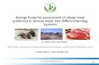 Energy footprint assessment of sheep meat produced in ...networks.iamz.ciheam.org › sgvitoria2017 › pdf › S2s... · Producing sheep production under the agro-pastoral farming