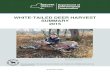 2015 New York State White-tailed Deer Harvest Summary · 2015 Deer Harvest ‐ Recent Trend Comparison Note: DEC checks hunter‐killed deer each year to determine age and sex breakdown