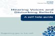 Hearing Voices and Disturbing Beliefs · ˜ Voices can be loud or quiet. ˜ Voices can communicate many different emotions. ˜ They may be critical. ˜ They may be friendly. ˜ You