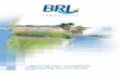 Mastering water management, protecting the environment · protecting the environment . The BRL Group, was originally founded in 1955 ... ver comes from activities in France and 60