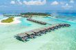 EXPERIENCE MALDIVIAN BLISS · • Steam room and sauna • Hot and cold plunge pools in the relaxation garden COCOON MEDI SPA The Maldives’ most luxurious medi spa brings the latest
