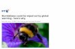 Bumblebees could be wiped out by global warming - here's why › 2016 › 01 › ... · 2016-01-14 · A strong correlation was found between what was happening to the bees and climate