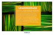 LEMONGRASS - FONA International · 2020-01-21 · LEMONGRASS ON THE MENU: Q3 2017-Q3 2018 Fine Dining is the top restaurant segment, with beverage, entrée and soup as the top three