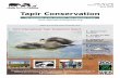 Tapir Conservation › wp-content › uploads › 2017 › 03 › Tapir... · 2018-10-01 · Tapir Conservation n The Newsletter of the IUCN/SSC Tapir Specialist Group n Vol. 15/1
