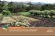 GANASOL - FONTAGRO · 2016-09-13 · environmentally responsive agricultural and livestock management production as well as sound use of forest resources. It will also integrate communities