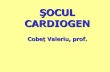 ŞOCUL CARDIOGEN · miocardului în proporție de 40-50% - infarctul miocardic acut, repetat) Reducerea marcată a returului venos spre cord (creșterea peste 8-9 mm Hg a presiunii