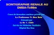 SCINTIGRAPHIE RENALE AU DMSA-Tc99mcours2mn.o.c.f.unblog.fr/files/2013/01/scintigraphie...SCINTIGRAPHIE RENALE AU DMSA-Tc99m Cours de formation continue présidé par Le Professeur