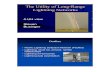 The Utility of Long-Range Lightning Networks · 30 35 40 0 0.002 0.004 0.006 0.008 Mixing Ratio (kg/kg) Sigma Level No rain 1-3 mm/h 3-6 mm/h >6 mm/h Assimilation of Lightning Data
