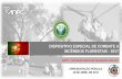 DISPOSITIVO ESPECIAL DE COMBATE A INCÊNDIOS FLORESTAIS … · 2019-10-14 · formaÇÃo incÊndios florestais 2017 curso nÚmero aÇÕes formandos seguranÇa/comportamento if 20