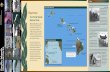 Hawaiian Islands National Parks Established: 2008 … · 2017-10-30 · Your Pacific Islands World War II Valor in the National Parks Hawaiian Islands China Australia North America