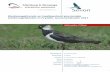 Weidevogeltrends en haalbaarheid provinciale weidevogeldoelen … · 2019-03-26 · weidevogelsoorten Kievit, Grutto, Scholekster en Tureluur in relatie tot het provinciale weidevogelbeleid,