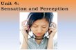 Unit 4: Sensation and Perception · 2014-10-17 · Sensation and Perception . ... Sensation = the process by which our sensory receptors and nervous system receive and represent stimulus