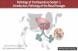 Pathology of the Respiratory System 1: Introduction ...people.upei.ca/smartinson/Resp_Lec_1_2017.pdf · Meningitis Otitis Lymphadenitis . INFLAMMATION OF THE SINUSES = SINUSITIS •Similar