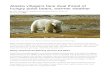 Alaska villagers face dual threat of hungry polar bears ...vanclasses.weebly.com/uploads/3/7/7/1/37718445/alaska_use.pdf · Alaska villagers face dual threat of hungry polar bears,