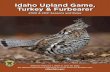 Idaho Upland Game, Turkey & FurbearerFish and Game recently completed a revision of its long-term management plan for upland game and we incorporated your input on how to improve upland