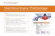 Genitourinary Pathology - Path Logic Genitourinary Brochure_… · from SUNY Downstate Medical Center. He completed his residency in anatomic and clinical pathology, and a fellowship