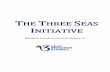 The Three Seas Initiativethree-seas.eu › wp-content › uploads › 2018 › 09 › LIST-OF...project 1) HU-SI gas interconnector Republic of Slovenia, Hungary Republic (Expressed