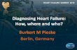 Diagnosing Heart Failure: How, where and who? Burkert M …...Coarseley trabeculated LV (short axis view) ESC HF GL 2012: Specific workup of HFrEF ... Current HFA/ESC Diagnostic Recommendations.