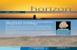 horizon - Amarna Trust€¦ · ISSUE 8 Winter 2010 The Amarna Project and Amarna Trust newsletter contents TheAm a rn ust 1 Acknowledgments 12 The simplest of grave markers: a flake