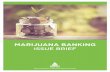 MARIJUANA BANKING - NAFCU...Medical marijuana is now legal in 33 states and 11 states have legalized recreational marijuana, although Vermont and Washington D.C. prohibit the sale