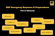 Advocating in Emergencies...BYENVENI! BENVENUTI! GBV Emergency Response & Preparedness Part 5: Advocacy! ยินดีต้อนรับ! KARIBU!(BIENVENUE! (ﺎﺒﺣﺮﻣMAUYA
