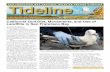 SPRING 2017 - United States Fish and Wildlife Service€¦ · SPRING 2017 Volume 40, Number 1 SAN FRANCISCO BAY NATIONAL WILDLIFE REFUGE COMPLEXTideline Antioch Dunes / Don Edwards