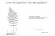 Les fougères de Belgique › Publications... · Les fougères de Belgique morphologie, clé de détermination, atlas et diagnose par J. Leurquin Edition 2004