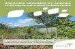 ASSOCIER LÉGUMES ET ARBRES FRUITIERS EN AGROFORESTERIE › 32135 › 1 › guide_verger-maraicher... · 2018-02-13 · Les arbres peuvent également jouer un rôle dans l’amélioration