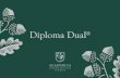 Diploma Dual€¦ · Diploma Dual® Con la filosofía de acompañar a los estudiantes en su desarrollo y preparación dentro, pero también fuera de los Estados Unidos, Academica